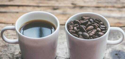 Arabica vs Robusta: Which Coffee Should Beginners Choose?