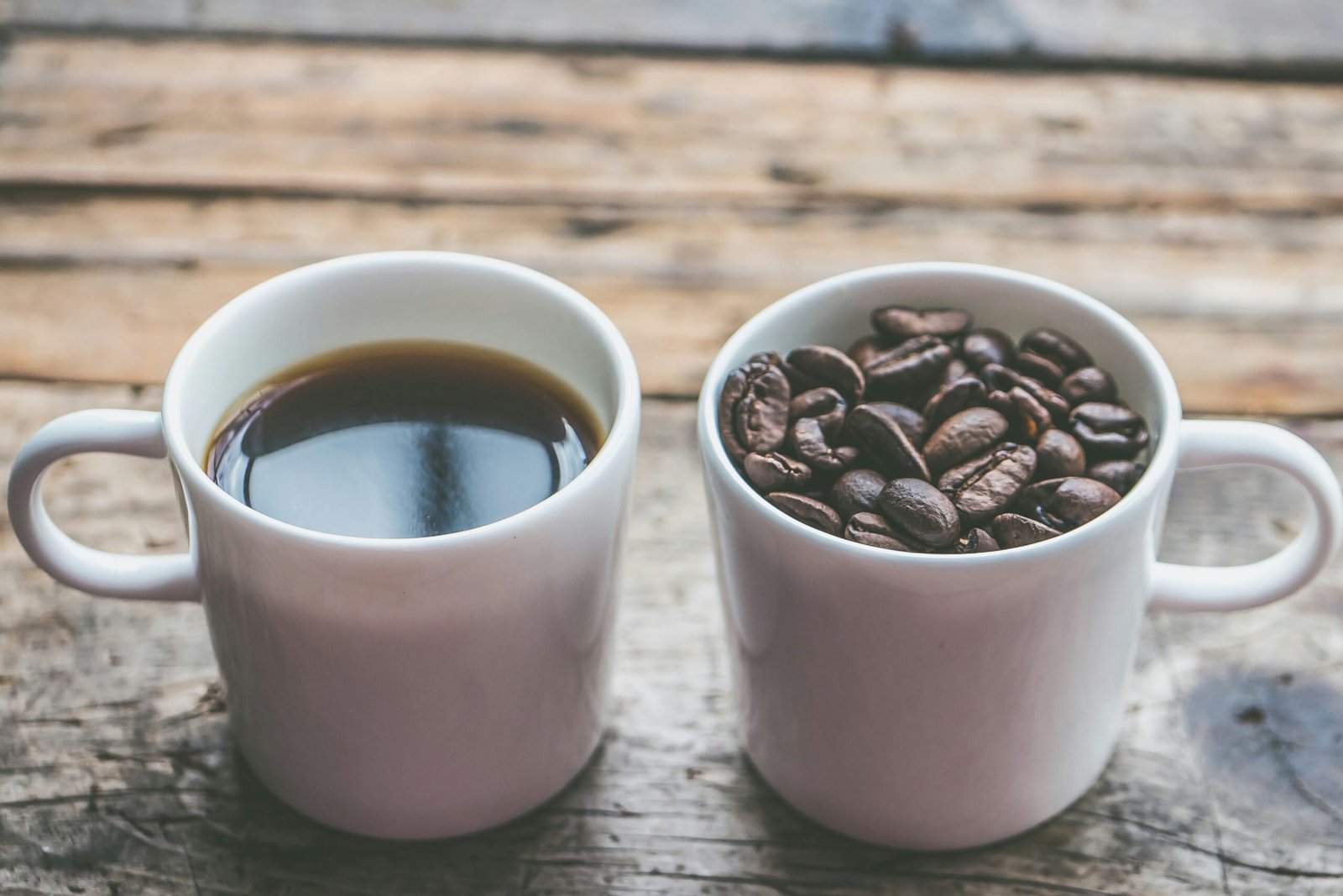 Arabica vs Robusta: Which Coffee Should Beginners Choose?
