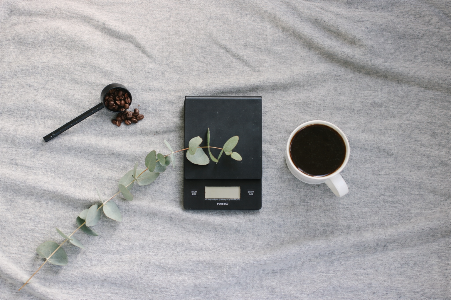 Do You Need a Coffee Scale as a Beginner?