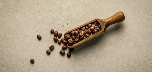 Best Coffee Beans for Beginners (Smooth & Balanced)