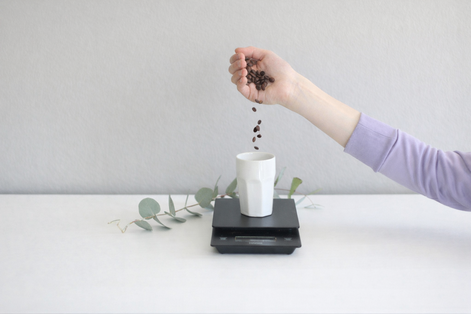 Best Coffee Scales for Beginners