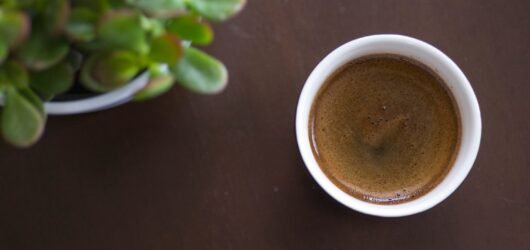 Is Fresh Coffee Worth It for Beginners?