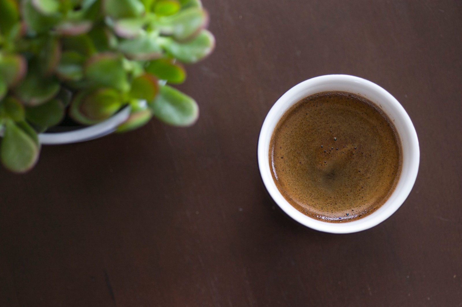 Is Fresh Coffee Worth It for Beginners?